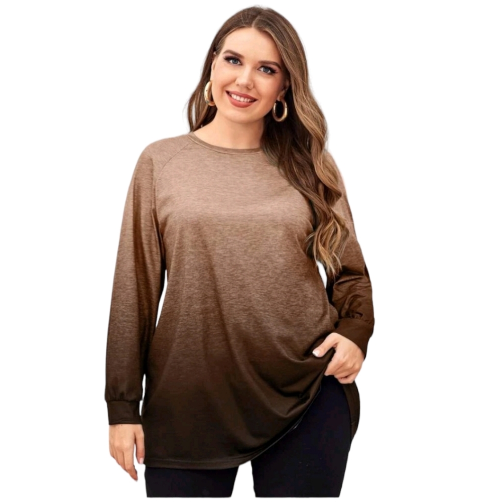 Shein Two Tone Raglan Long Sleeve Tee 4X
